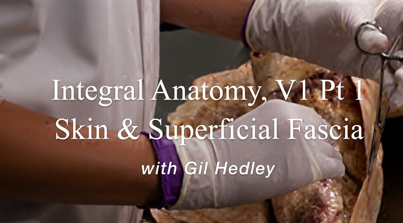 Gill Hedley Integral Anatomy dissection series on YouTube