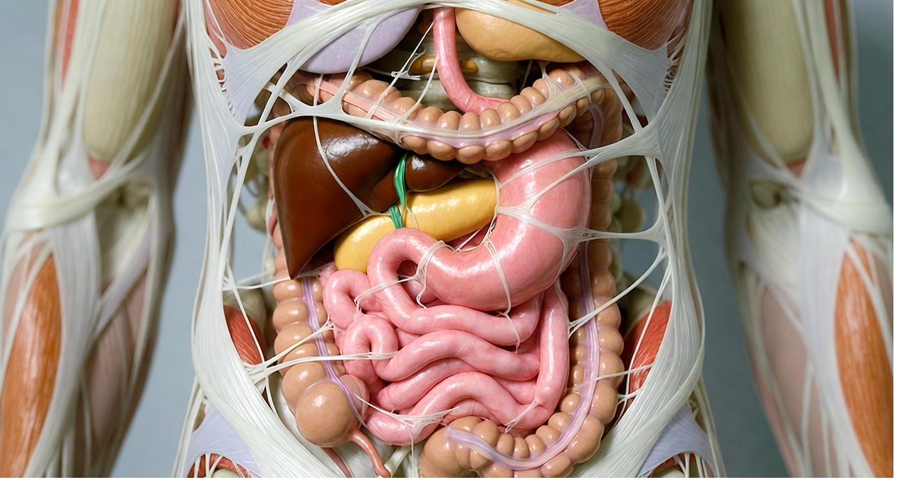 Gut microbiome and Fibromyalgia connection - Physology Bath Bristol